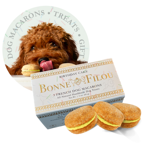 Dog Macarons (Box of 3)