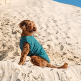 Sustainable Eco-Friendly Dog Jacket / Vest - Made in Ukraine