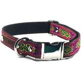 Finnigan's Wholesale Durable Designer Dog Collar No.13m