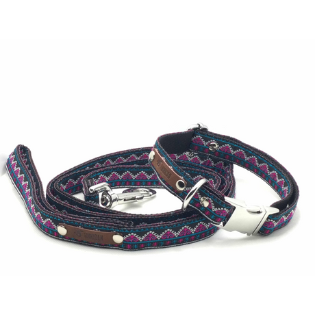 Finnigan’s Durable Designer Dog Collar: Stylish and Practical