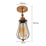 Modern Industrial French Gold Flex Arm Retro Light Cage Ceiling Fixtures E27~1596