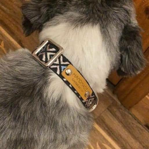 Finnigan’s Designer Dog Collar No. 01m