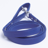 Alpine Leash