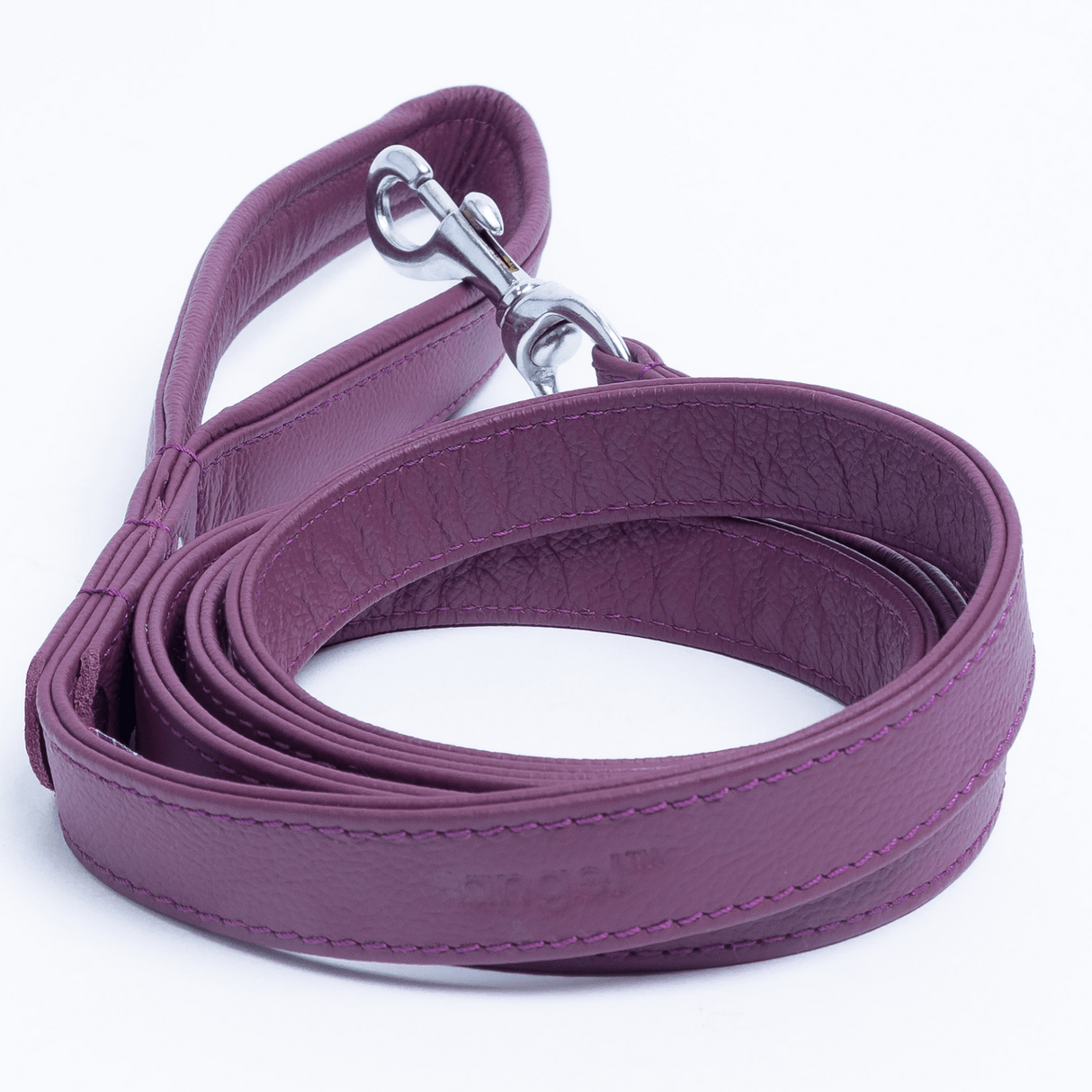 Alpine Leash