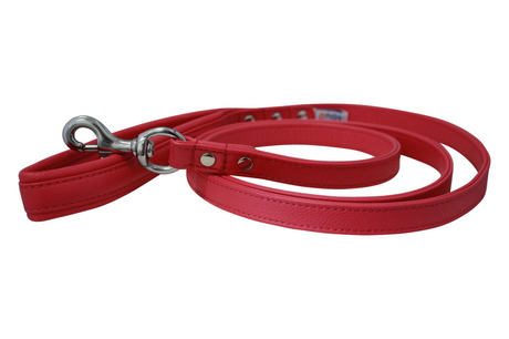 Alpine Leash