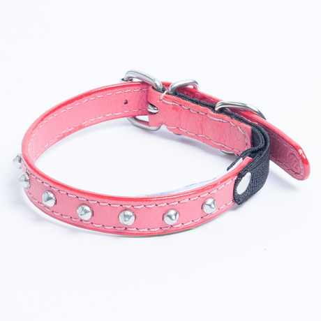 Studded Cat Collars