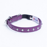 Studded Cat Collars