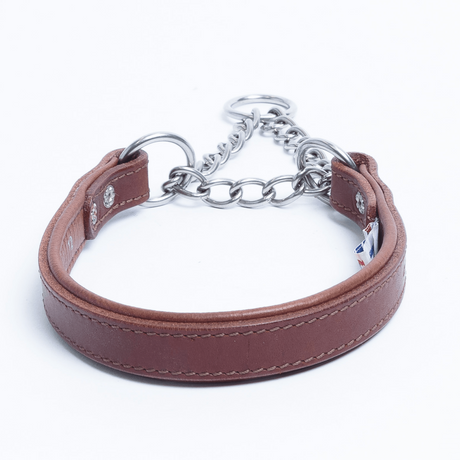 Rio Martingale Collar