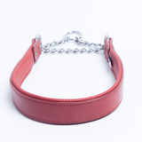 Rio Martingale Collar