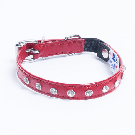 Athens Cat Collars