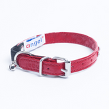 Athens Cat Collars