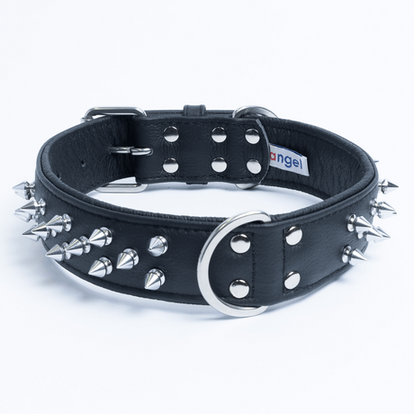 Amsterdam spiked collars