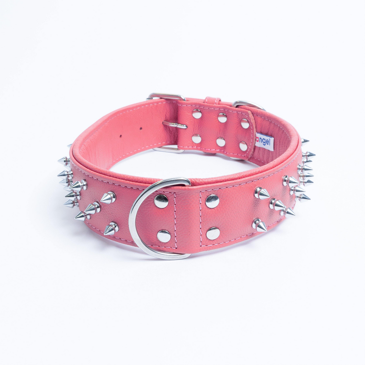 Amsterdam spiked collars