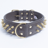 Amsterdam spiked collars