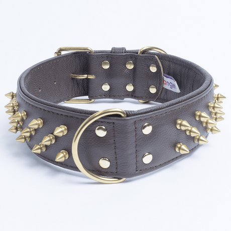 Amsterdam spiked collars