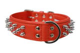 Amsterdam spiked collars