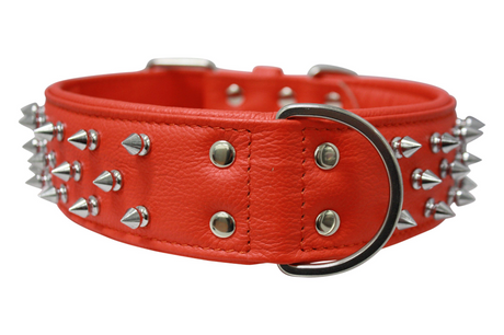 Amsterdam spiked collars