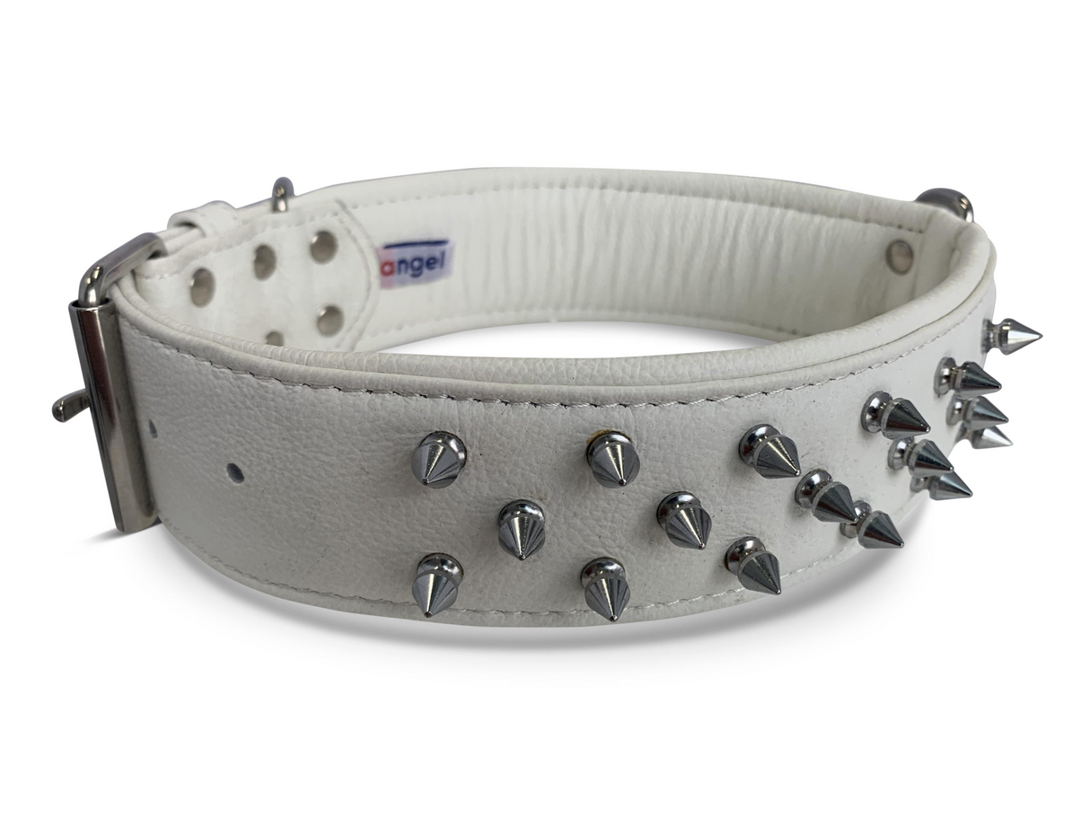 Amsterdam spiked collars