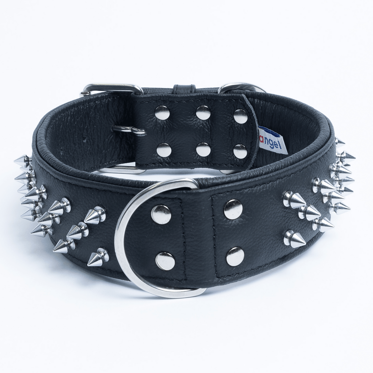 Amsterdam spiked collars