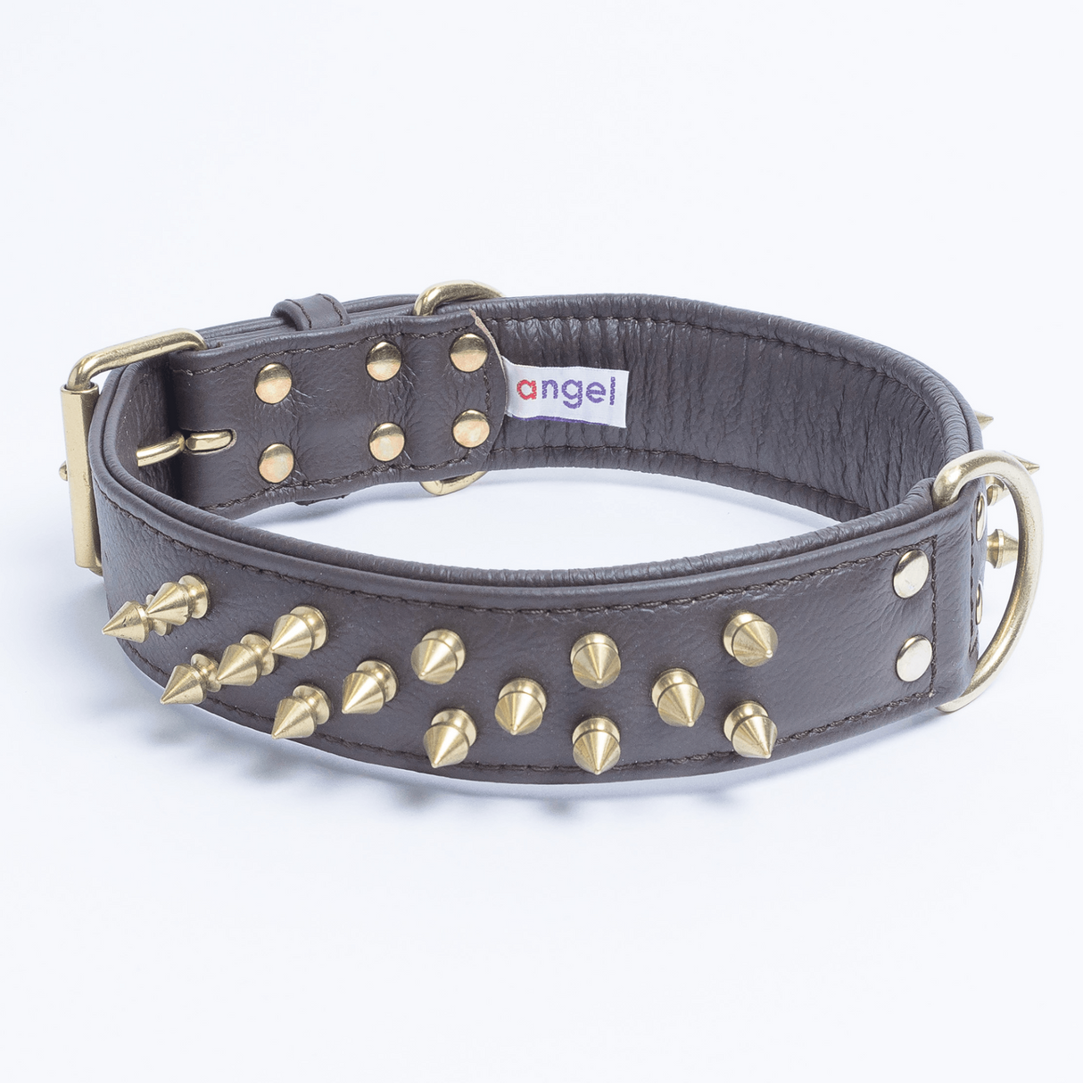 Amsterdam spiked collars