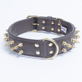 Amsterdam spiked collars