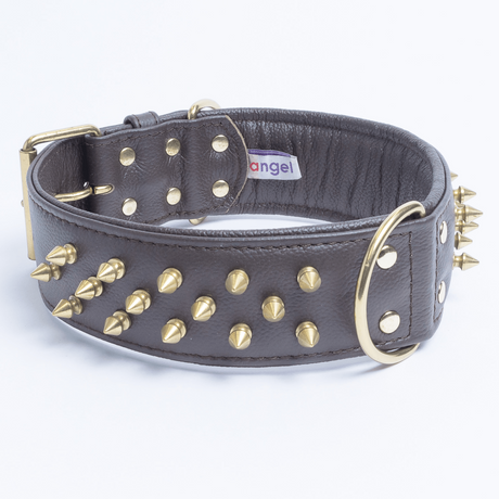 Amsterdam spiked collars