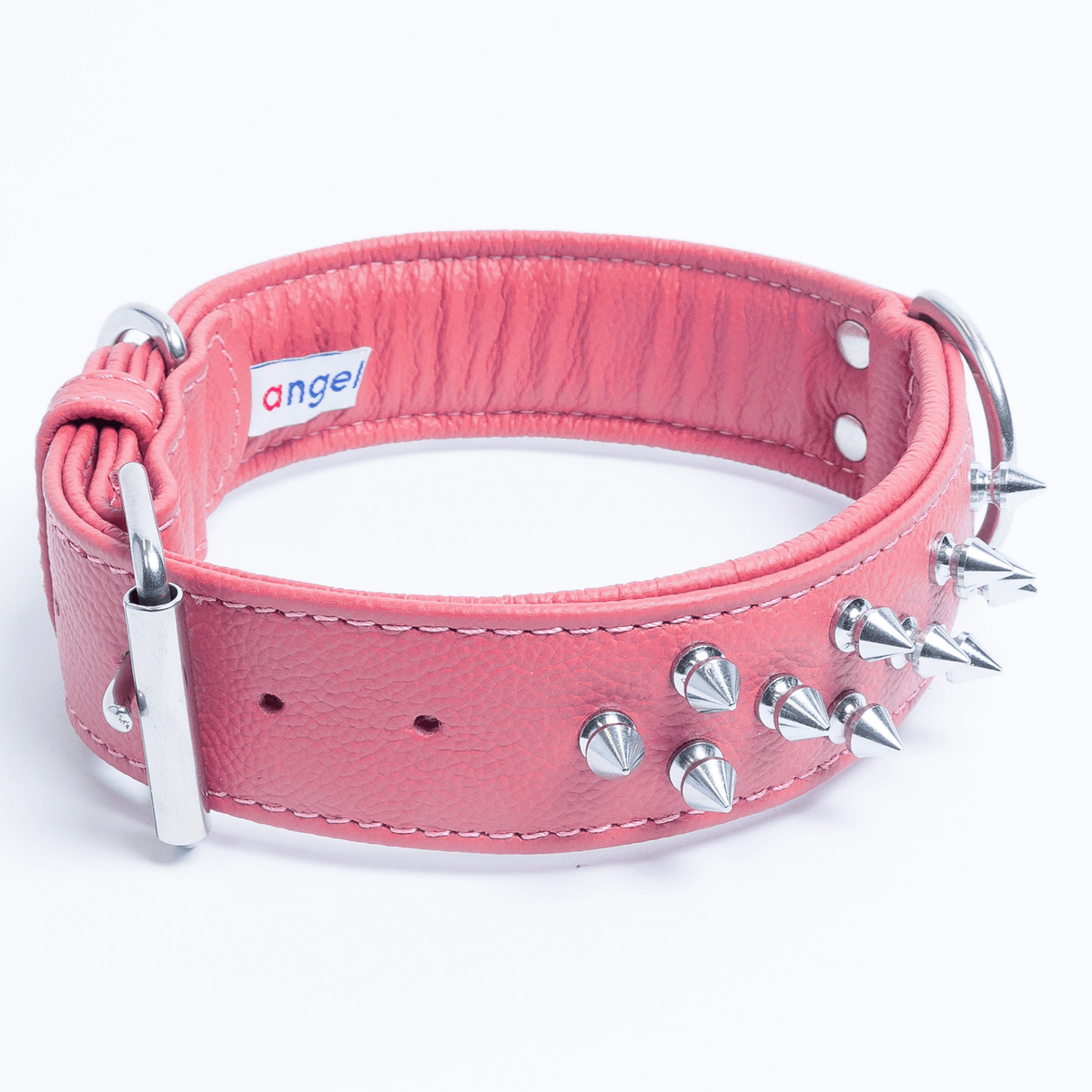 Amsterdam spiked collars