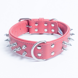 Amsterdam spiked collars