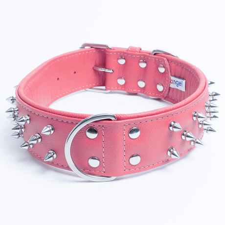 Amsterdam spiked collars