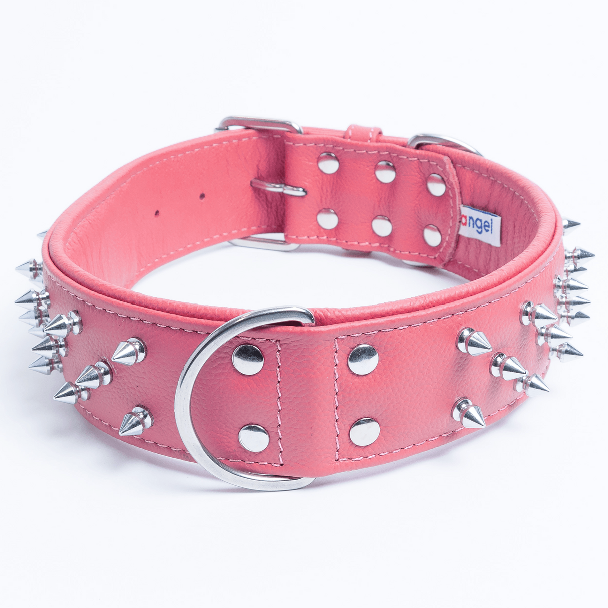 Amsterdam spiked collars