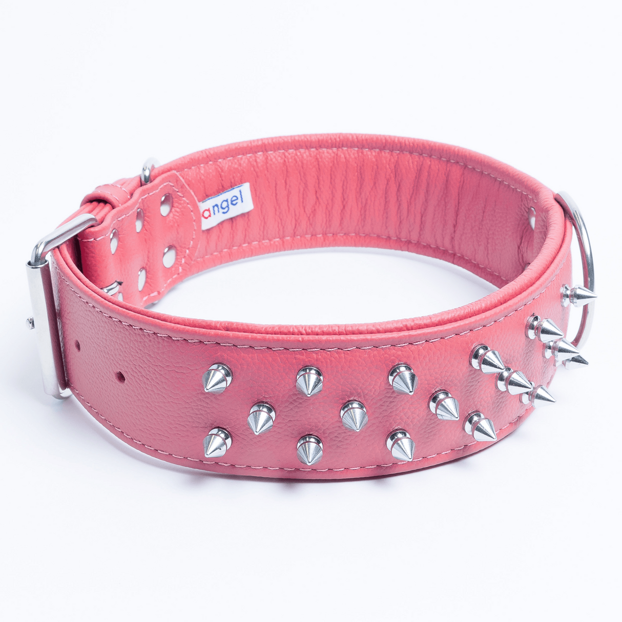 Amsterdam spiked collars