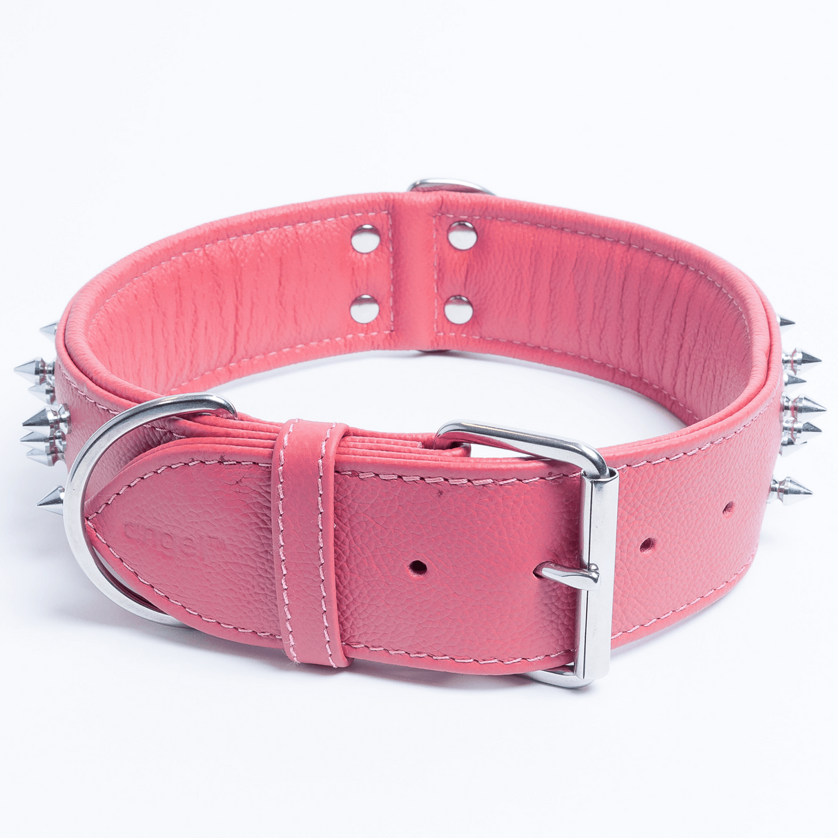 Amsterdam spiked collars