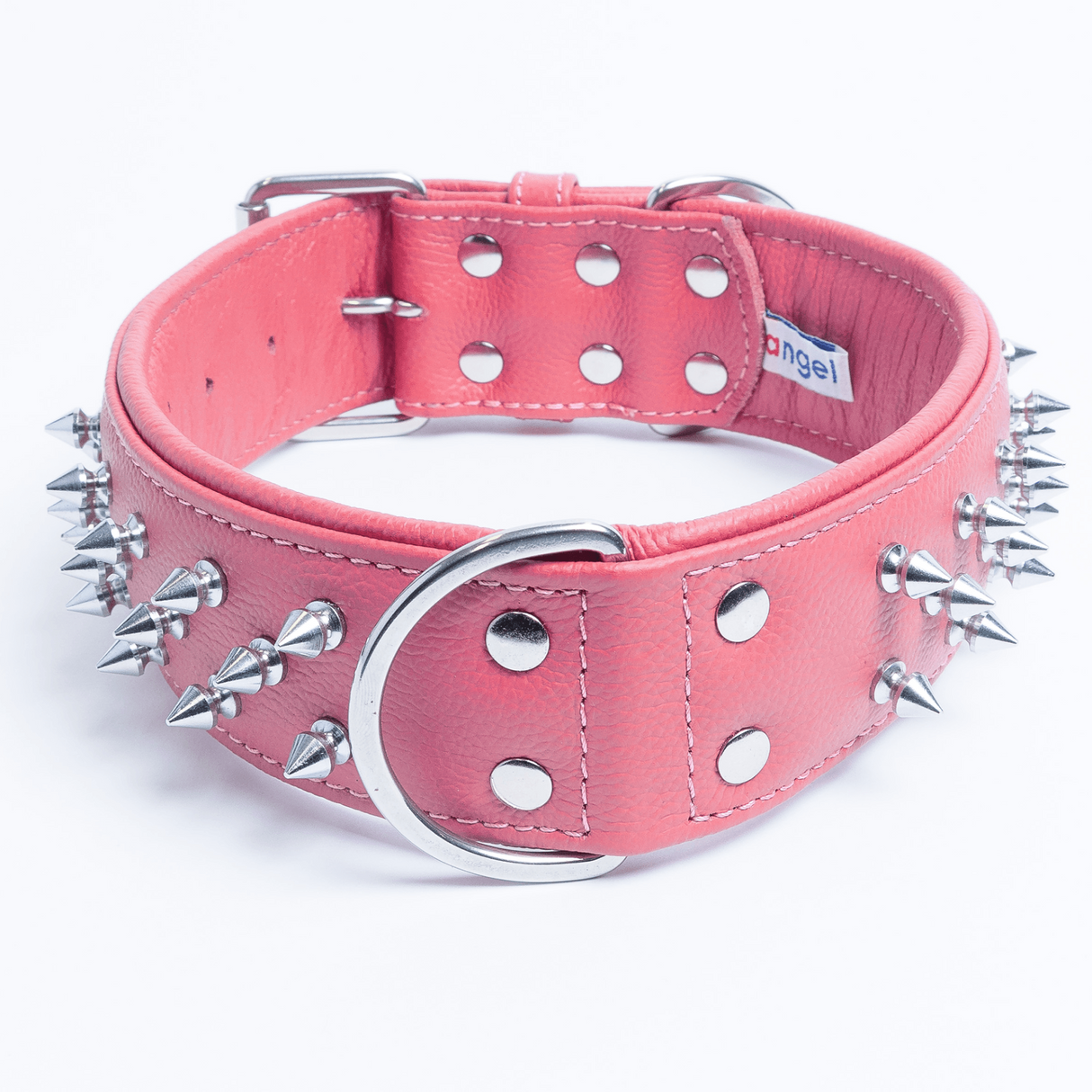 Amsterdam spiked collars