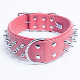 Amsterdam spiked collars