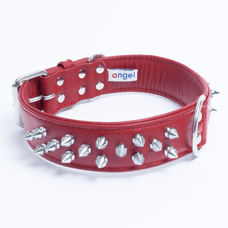 Amsterdam spiked collars