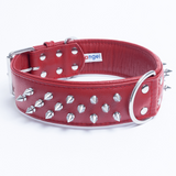 Amsterdam spiked collars