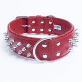 Amsterdam spiked collars