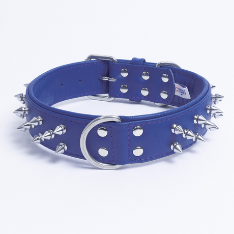 Amsterdam spiked collars