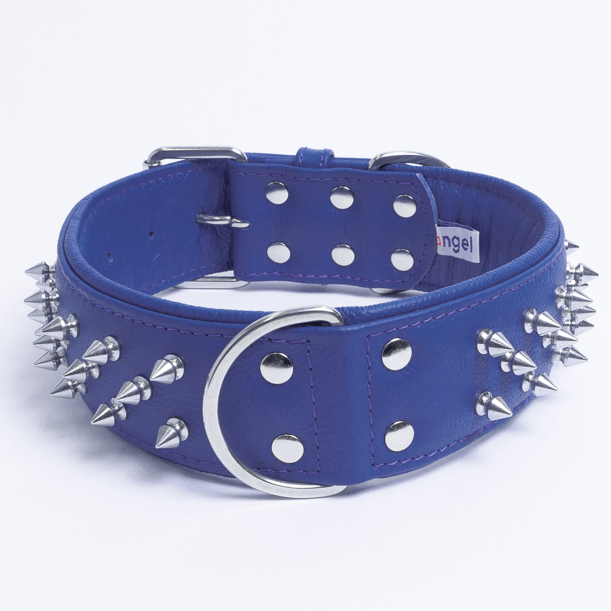 Amsterdam spiked collars