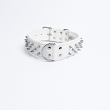 Amsterdam spiked collars