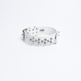 Amsterdam spiked collars