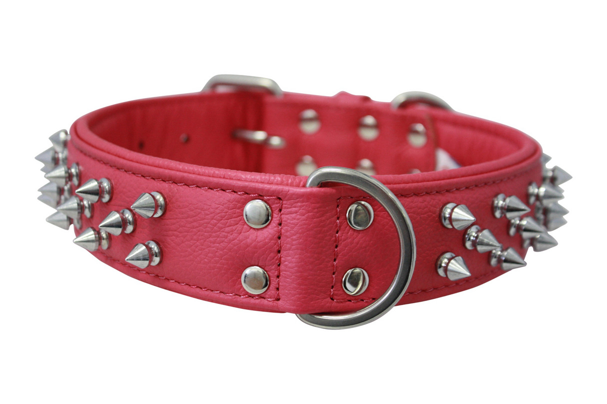 Amsterdam spiked collars