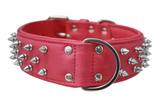 Amsterdam spiked collars