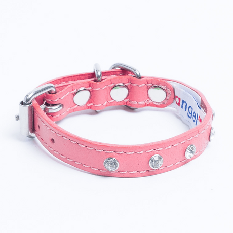 Athens Dog Collar ( Pink | Purple )