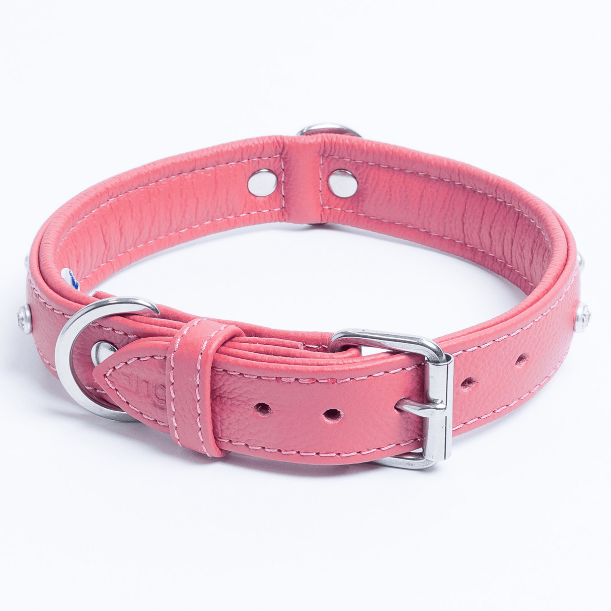 Athens Dog Collar ( Pink | Purple )