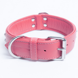 Athens Dog Collar ( Pink | Purple )