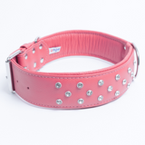 Athens Dog Collar ( Pink | Purple )