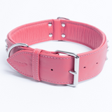 Athens Dog Collar ( Pink | Purple )