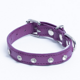 Athens Dog Collar ( Pink | Purple )