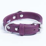 Athens Dog Collar ( Pink | Purple )